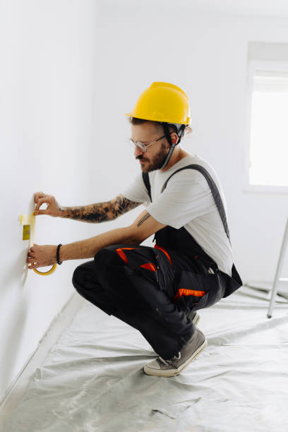 Best Drywall Removal and Disposal  in Hanley Hills, MO